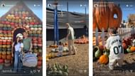 Blake Snell's wife Haeley's Instagram stories from the Mr. Bones pumpkin patch (Source: Instagram @haeleyryane)